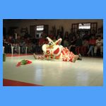 DSC00816.JPG