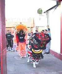 Comienza la Danza del León con el saludo inicial.